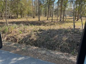 915 West Deer Street